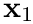 $\mathbf{x}_{1}$