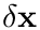 $\delta\mathbf{x}$