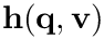 $\mathbf{h}(\mathbf{q},\mathbf{v})$