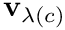 $\mathbf{v}_{\lambda(c)}$