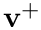 $\mathbf{v}^+$