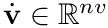 $\dot{\mathbf{v}}\in\mathbb{R}^{nv}$