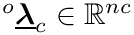 ${}^o\underline{\boldsymbol{\lambda}}_c\in\mathbb{R}^{nc}$