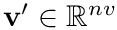 $\mathbf{v}'\in\mathbb{R}^{nv}$
