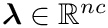 $\boldsymbol{\lambda}\in\mathbb{R}^{nc}$