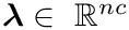 $\boldsymbol{\lambda}\in~\mathbb{R}^{nc}$