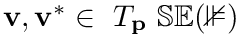 $\mathbf{v},\mathbf{v}^*\in~T_{\mathbf{p}}~\mathbb{SE(3)}$